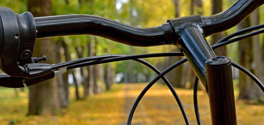 Das Foto zeigt eine Blick über einen Fahrradlenker in eine herbstliche Baumreihe.