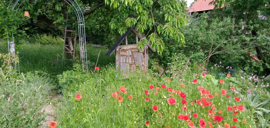 Ein schöner Garten in Brombachtal präsentierte sich im vergangenen Jahr im Rahmen der „Aktion Naturgarten“ Besucherinnen und Besuchern. 